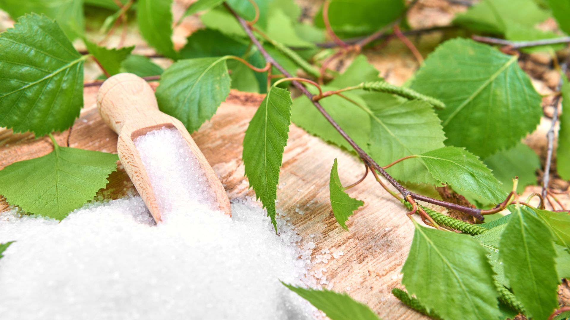 Xylitol ako náhrada cukru Prináša zdravotné benefitya